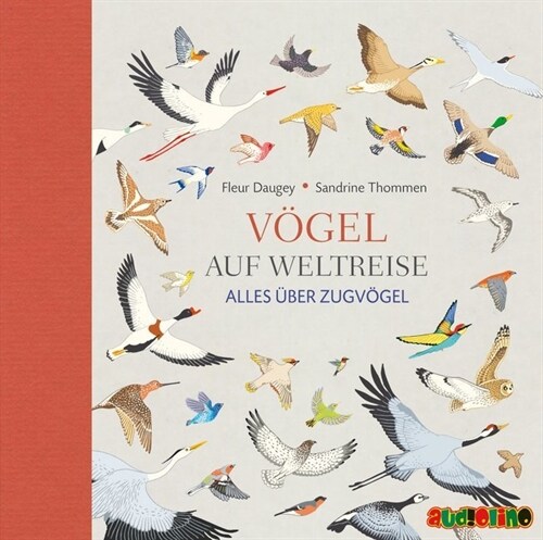 Vogel auf Weltreise, 1 Audio-CD (CD-Audio)