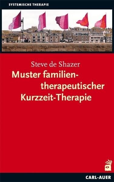 Muster familientherapeutischer Kurzzeit-Therapie (Paperback)