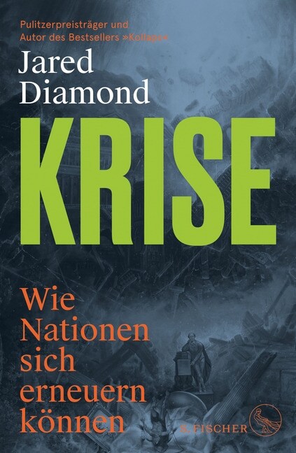 Krise (Hardcover)