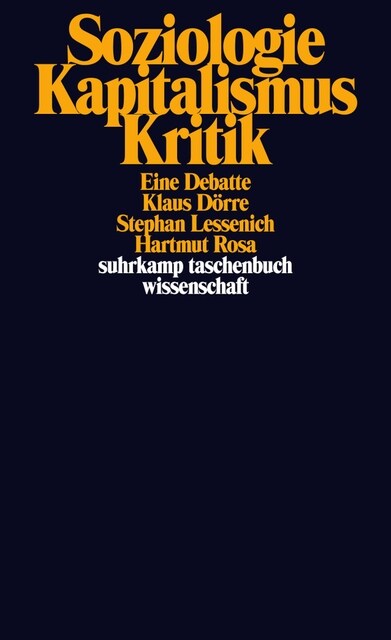 Soziologie - Kapitalismus - Kritik (Paperback)