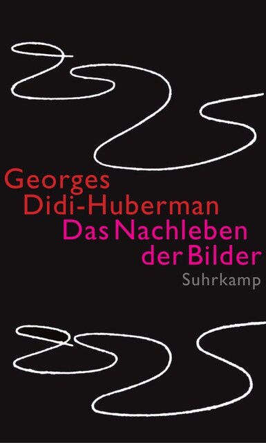 Das Nachleben der Bilder (Hardcover)