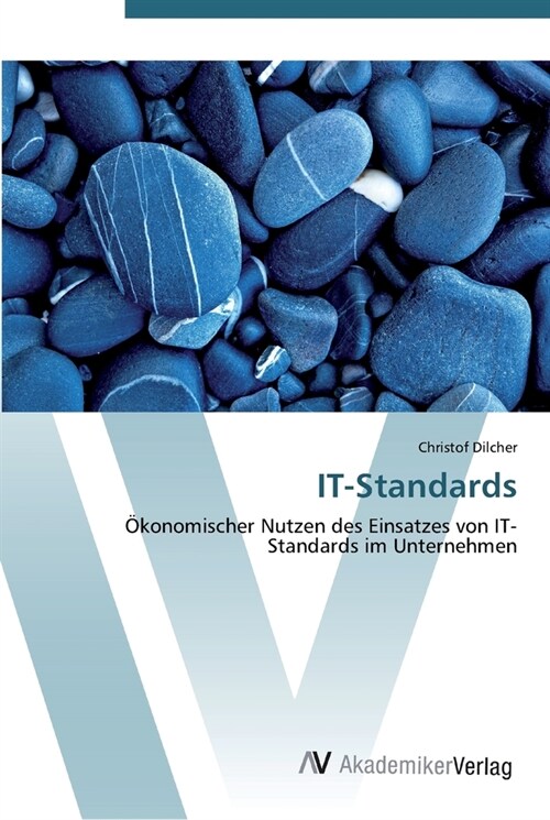 IT-Standards (Paperback)