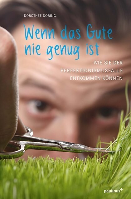 Wenn das Gute nie genug ist (Book)