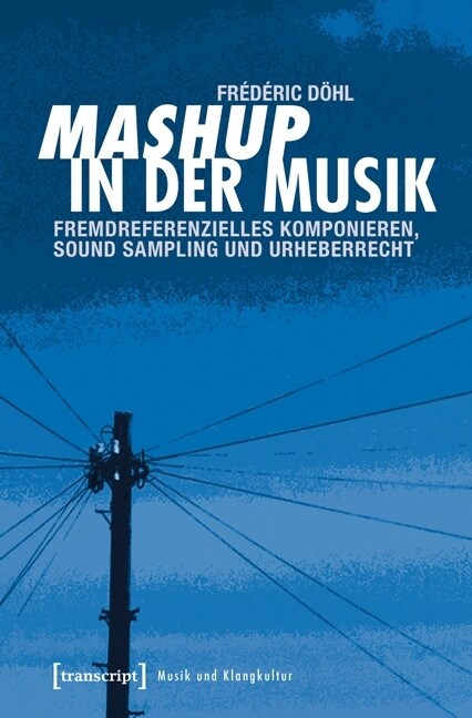 Mashup in der Musik (Paperback)