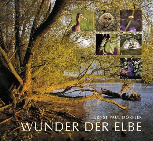 Wunder der Elbe (Hardcover)