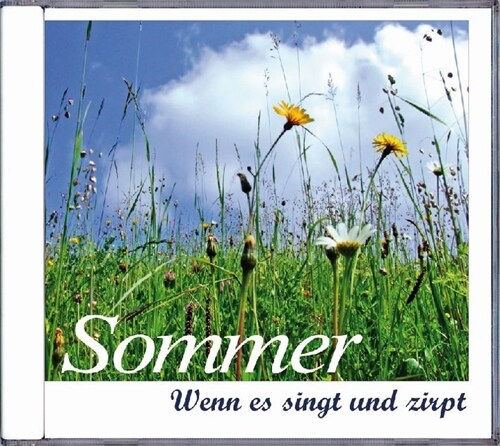 Sommer, 1 Audio-CD (CD-Audio)