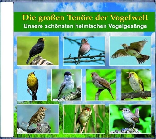 Die großen Tenore der Vogelwelt, 1 Audio-CD (CD-Audio)