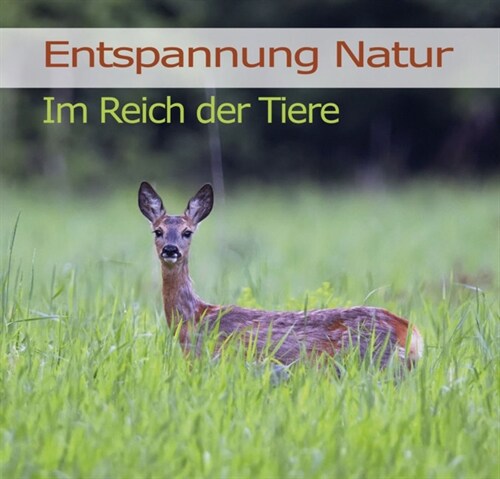 Entspannung Natur - Im Reich der Tiere, 1 Audio-CD (CD-Audio)