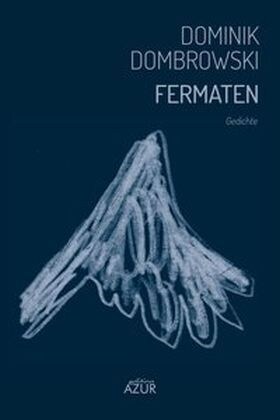 Fermaten (Paperback)