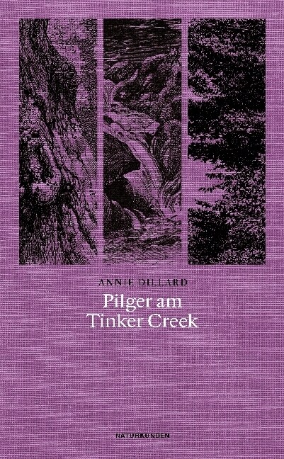 Pilger am Tinker Creek (Paperback)