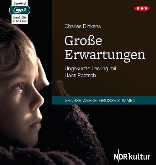 Große Erwartungen, 2 MP3-CD (CD-Audio)