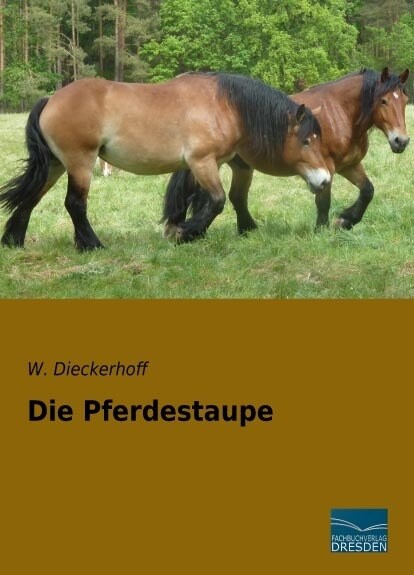 Die Pferdestaupe (Paperback)