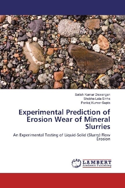 Experimental Prediction of Erosion Wear of Mineral Slurries (Paperback)