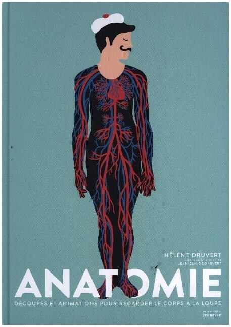 Anatomie (Paperback)