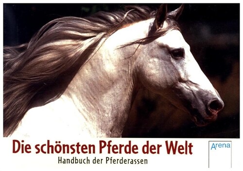 Die schonsten Pferde der Welt (Paperback)