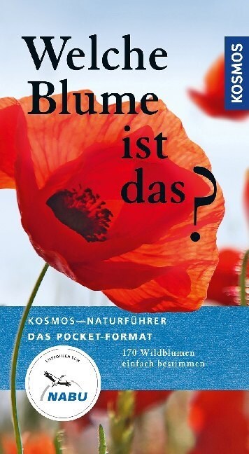 Welche Blume ist das？ (Paperback)