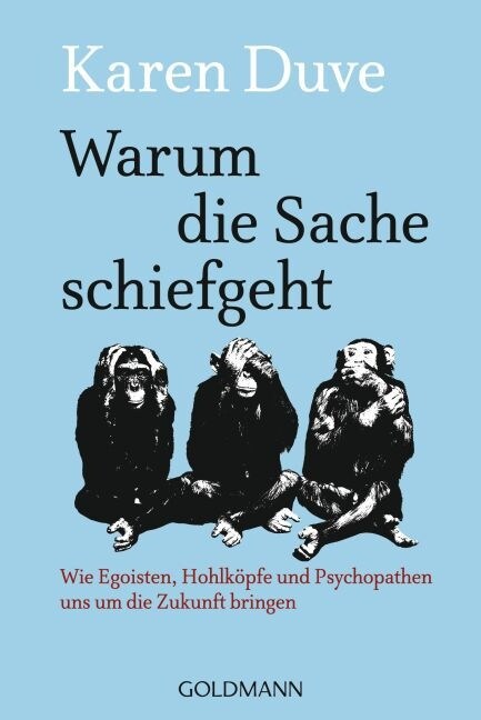 Warum die Sache schiefgeht (Paperback)