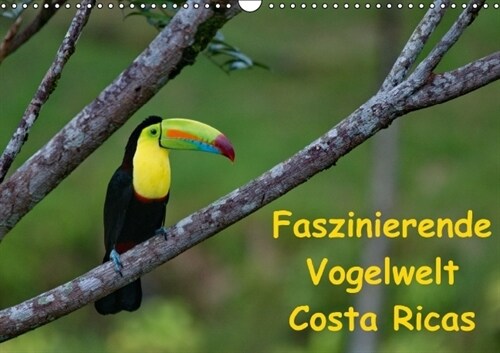 Faszinierende Vogelwelt Costa Ricas (Wandkalender immerwahrend DIN A3 quer) (Calendar)
