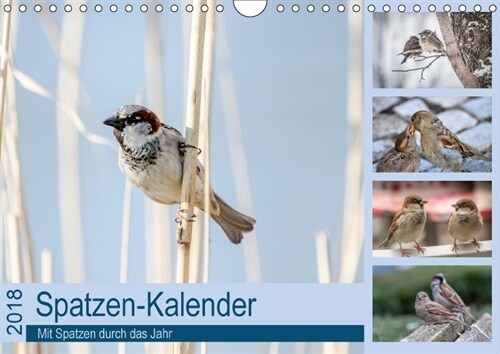 Spatzen-Kalender (Wandkalender 2018 DIN A4 quer) (Calendar)
