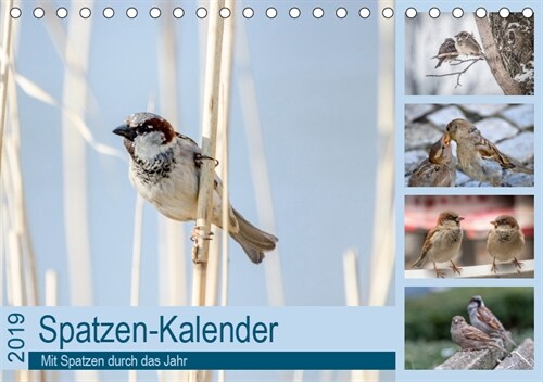 Spatzen-Kalender (Tischkalender 2019 DIN A5 quer) (Calendar)