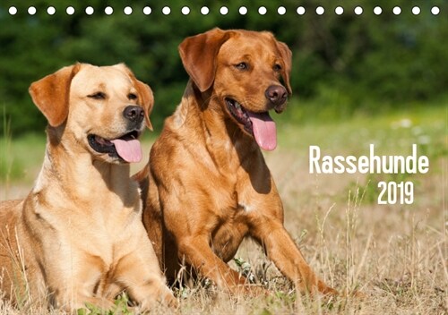 Rassehunde (Tischkalender 2019 DIN A5 quer) (Calendar)