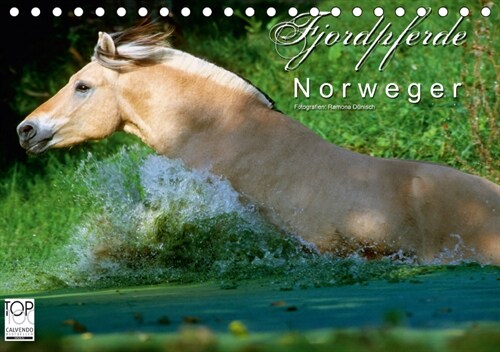Fjordpferde - Norweger (Tischkalender 2019 DIN A5 quer) (Calendar)