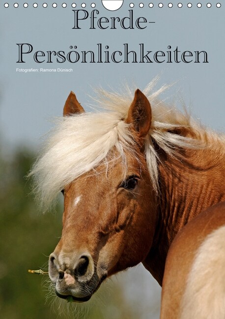 Pferde-Personlichkeiten - ausdrucksstarke Gesichter verschiedener Pferderassen (Wandkalender 2019 DIN A4 hoch) (Calendar)