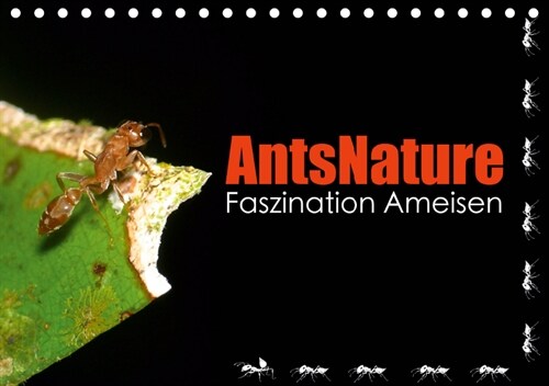 AntsNature - Faszination Ameisen (Tischkalender 2019 DIN A5 quer) (Calendar)