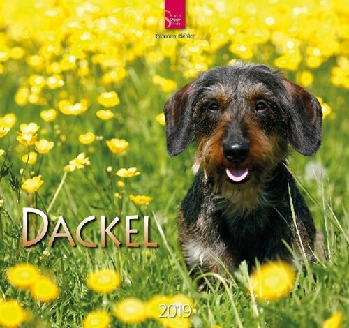 Dackel 2019 (Calendar)