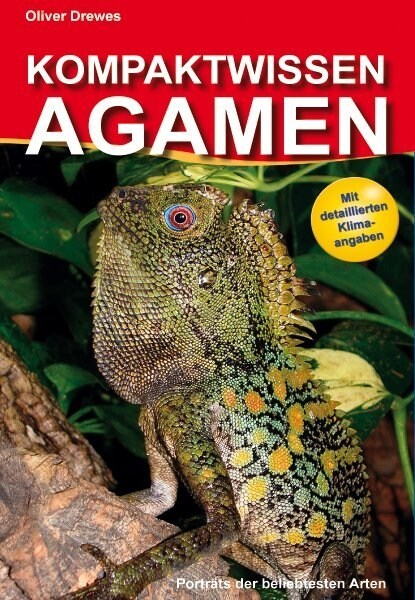 Kompaktwissen Agamen (Hardcover)