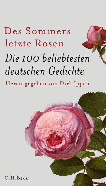 Des Sommers letzte Rosen (Hardcover)