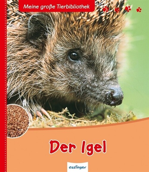 Der Igel (Hardcover)