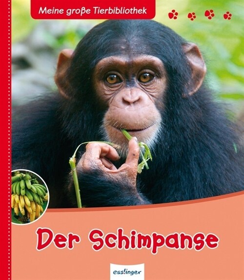 Der Schimpanse (Hardcover)