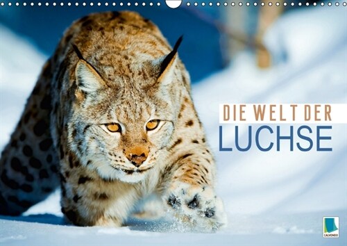 Die Welt der Luchse (Wandkalender 2018 DIN A3 quer) (Calendar)