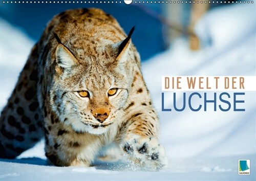 Die Welt der Luchse (Wandkalender 2018 DIN A2 quer) (Calendar)