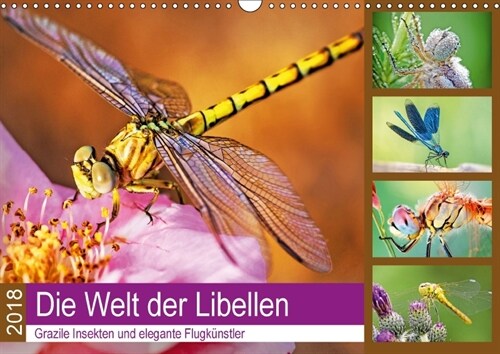 Die Welt der Libellen (Wandkalender 2018 DIN A3 quer) (Calendar)