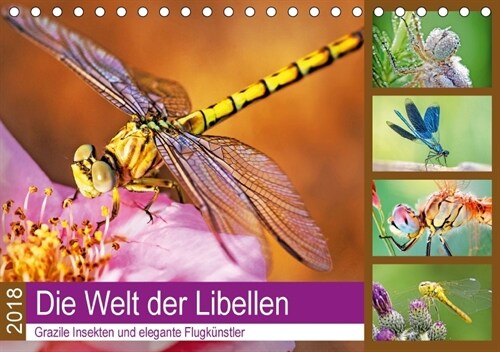 Die Welt der Libellen (Tischkalender 2018 DIN A5 quer) (Calendar)