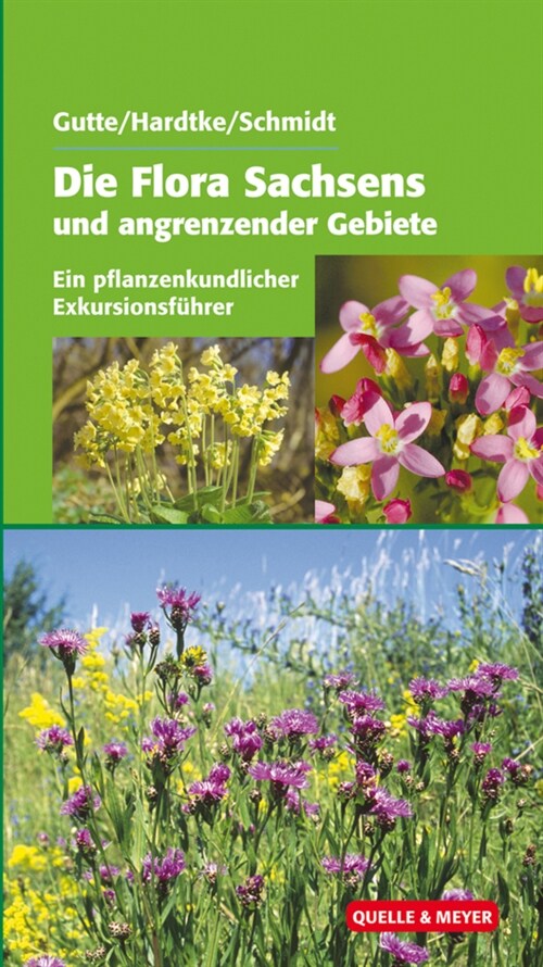 Die Flora Sachsens und der angrenzenden Gebiete (Hardcover)