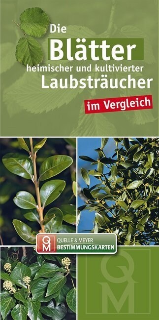 Die Blatter heimischer und kultivierter Laubstraucher im Vergleich, Leporello (Paperback)