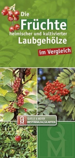 Die Fruchte heimischer und kultivierter Laubgeholze im Vergleich, Leporello (Paperback)