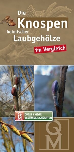 Die Knospen heimischer Laubgeholze im Vergleich, Bestimmungskarten (Cards)