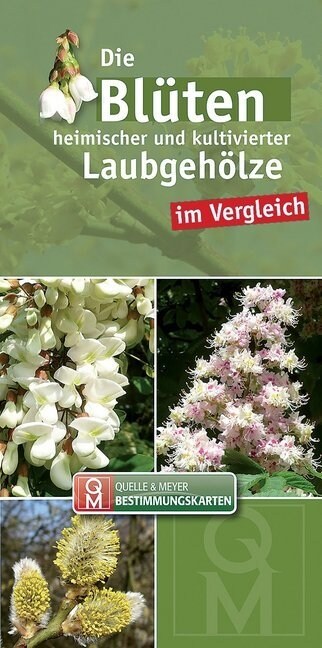 Die Bluten heimischer Laubgeholze im Vergleich (Paperback)