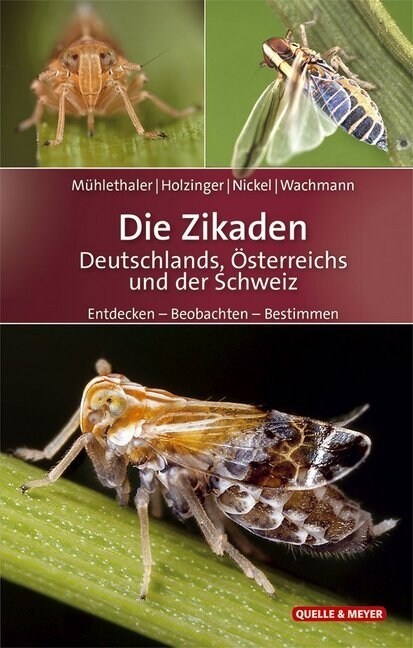 Die Zikaden Deutschlands, Osterreichs und der Schweiz (Hardcover)