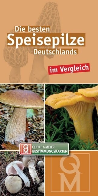 Die besten Speisepilze Deutschlands im Vergleich, Bestimmungskarten (Cards)