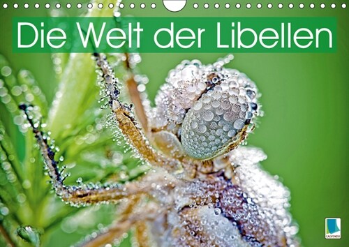 Die Welt der Libellen (Wandkalender 2019 DIN A4 quer) (Calendar)