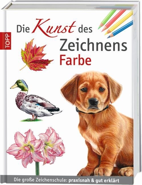 Die Kunst des Zeichnens - Farbe (Hardcover)