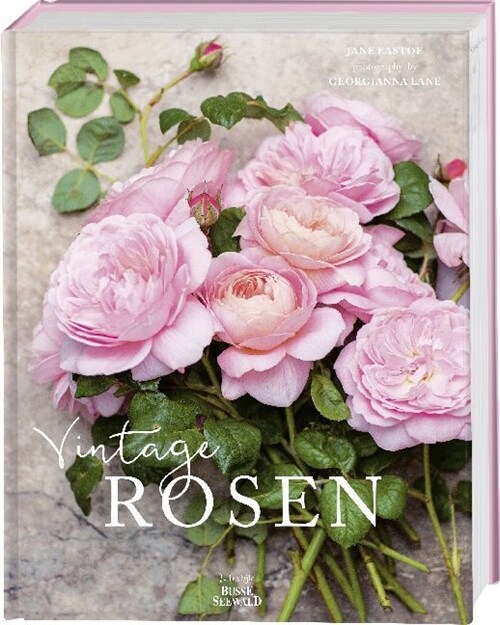 Vintage Rosen (Hardcover)