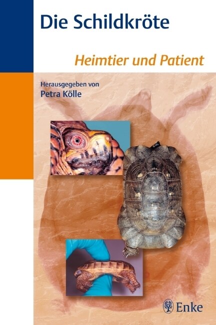 Die Schildkrote (Paperback)