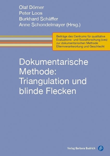 Dokumentarische Methode: Triangulation und blinde Flecken (Paperback)