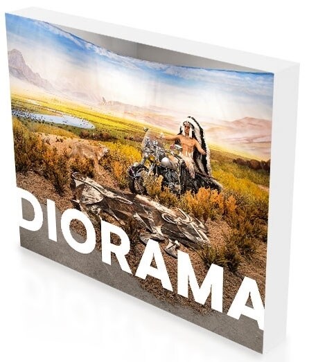 Diorama - Erfindung einer Illusion (Paperback)